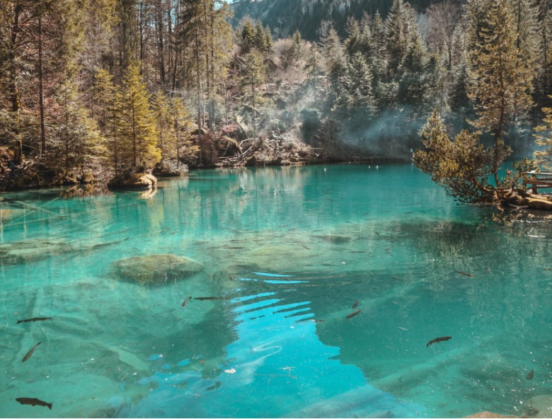 1652495626498398.jpg 4.jpg