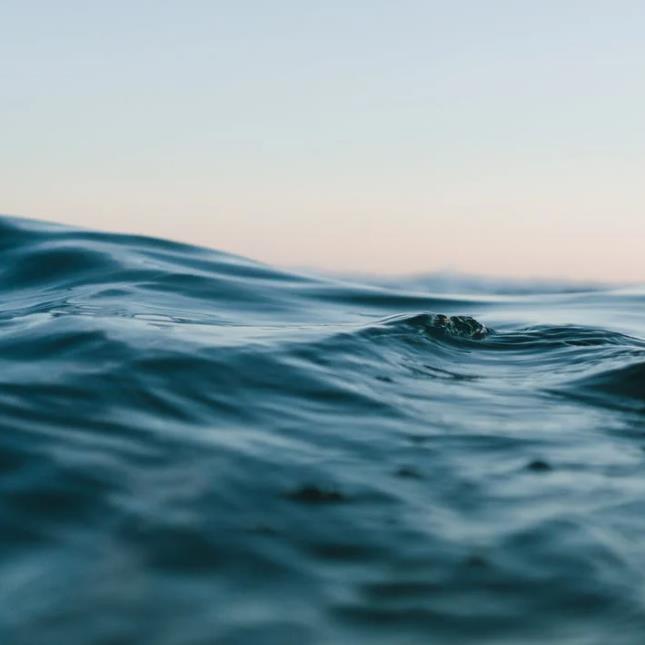 1659684384562056.jpg 22.jpg