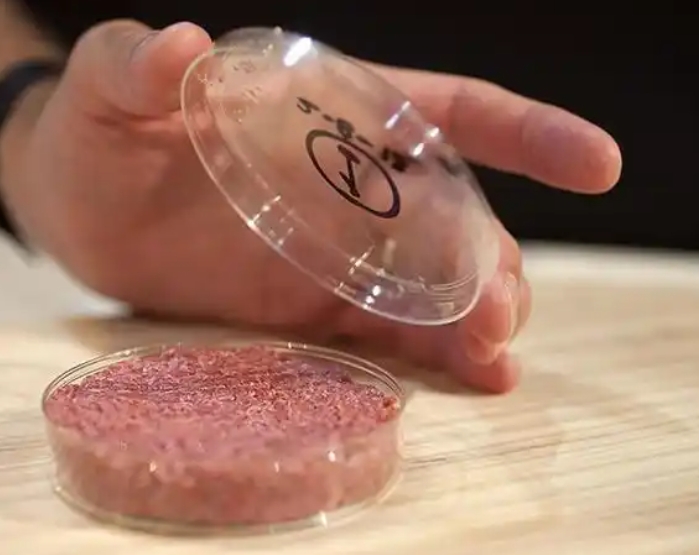 1758267434218643.jpg 人造肉.jpg