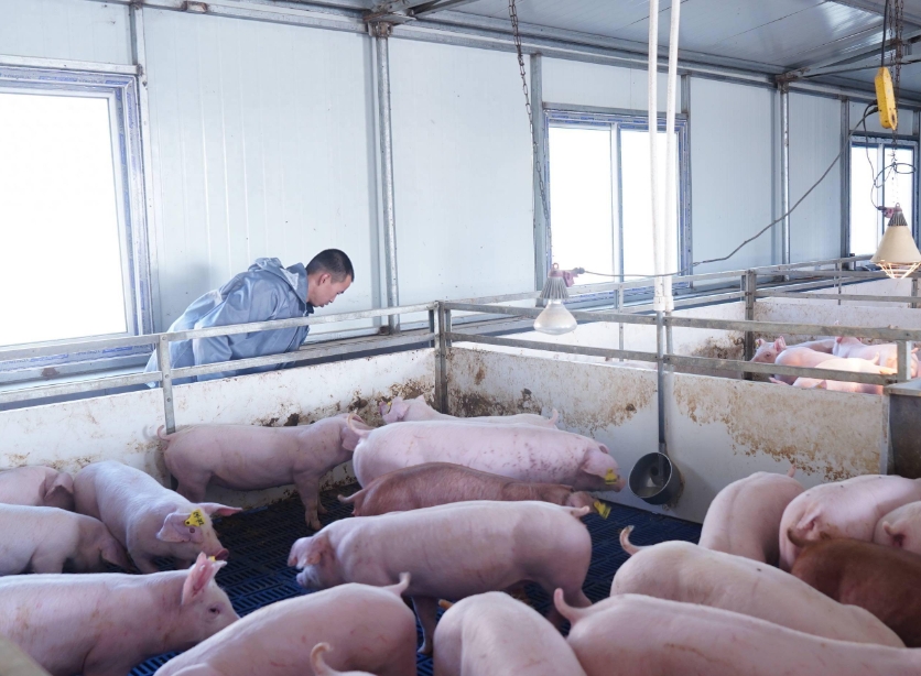 1760492587447057.jpg 1760492587447057.jpg