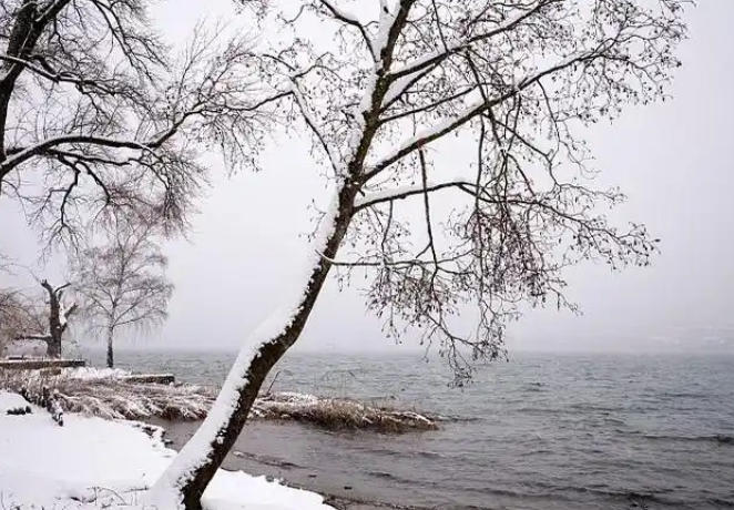 1767665388936863.jpg 下雪.jpg