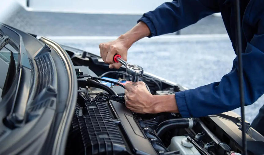 1769049772581545.jpg 1769049772581545.jpg